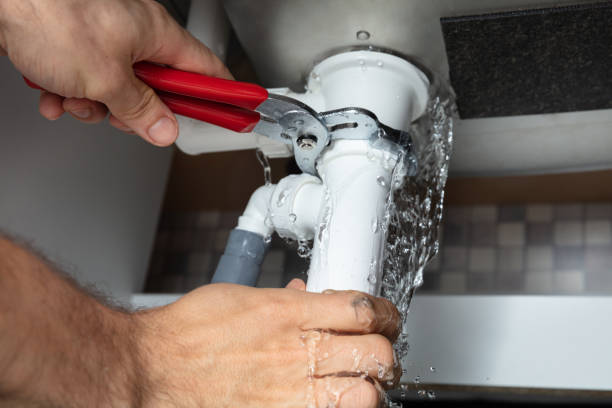 Best Water damage restoration near me  in Westfield, MA