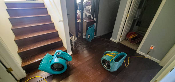 Best Basement water damage restoration  in Westfield, MA